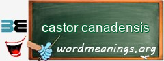 WordMeaning blackboard for castor canadensis